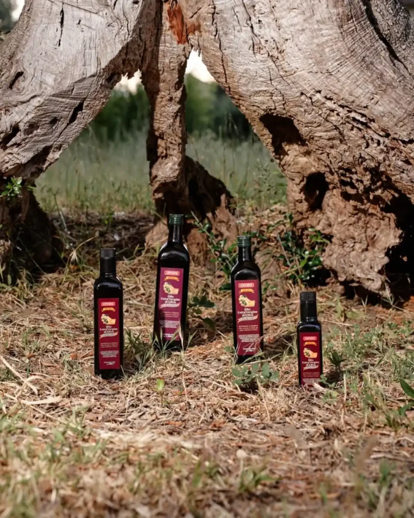 Olio EVO dell’Oleificio Cimini a Paglieta